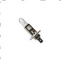 Picture of Bulb - 12v 55w H1