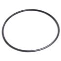 Picture of O-Ring