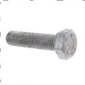 Picture of Bolt