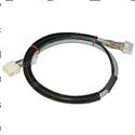 Picture of Harness