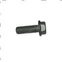 Picture of Bolt