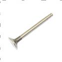 Picture of Valve Exhaust