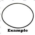 Picture of O-Ring