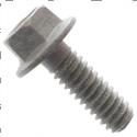 Picture of Bolt
