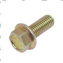 Picture of Bolt