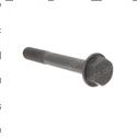 Picture of Bolt