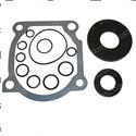 Picture of Seal Kit: Hyd Drive Motor