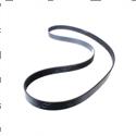 Picture of Belt - Serpentine