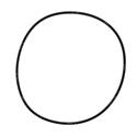 Picture of O-Ring