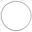 Picture of Ring - Backup