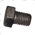 Picture of Capscrew