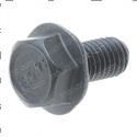 Picture of Screw Hex