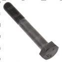 Picture of Bolt