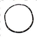 Picture of Gasket
