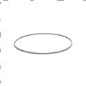 Picture of O-Ring