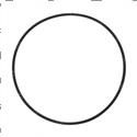 Picture of O Ring