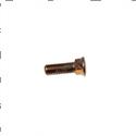 Picture of Bolt
