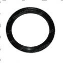 Picture of Seal - Poly