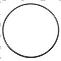 Picture of O-Ring