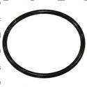 Picture of O-Ring