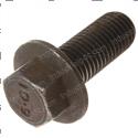Picture of Screw