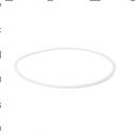 Picture of Ring - Back Up