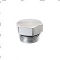 Picture of Plug - Hex Head