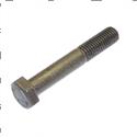 Picture of Bolt