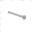 Picture of Bolt