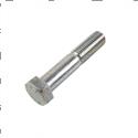 Picture of Bolt