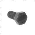 Picture of Bolt