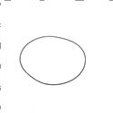 Picture of O Ring