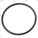 Picture of O-Ring