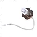 Picture of Bulb - 24v 70w