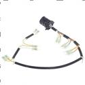 Picture of Wiring Harness