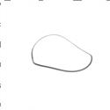 Picture of Backup Ring