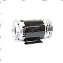 Picture of Motor Function