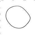 Picture of O-Ring