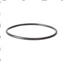 Picture of O-Ring