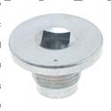 Picture of Threaded Plug