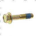 Picture of Bolt