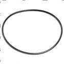 Picture of O-Ring