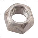 Picture of Nut