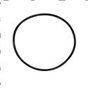 Picture of O-Ring