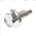 Picture of Screw - Fan