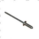 Picture of Rivet