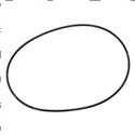 Picture of O - Ring