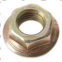 Picture of Nut