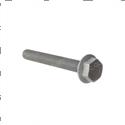 Picture of Bolt