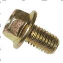 Picture of Bolt